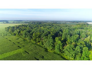 Tillable & Wooded Farmland in Allen County, Indiana - LAND AUCTION - 184+/- ACRES OFFERED IN 3 TRACTS IN ALLEN COUNTY, INDIANA